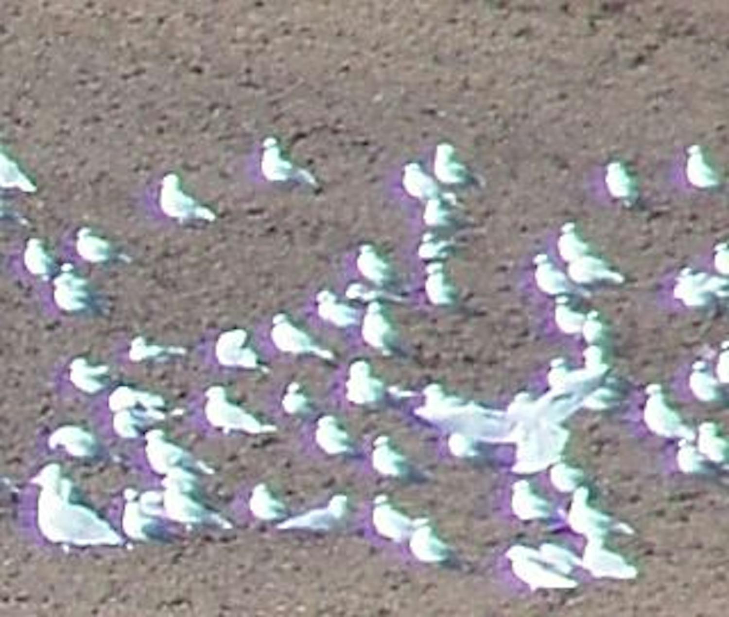 Kromatisk abberasjon